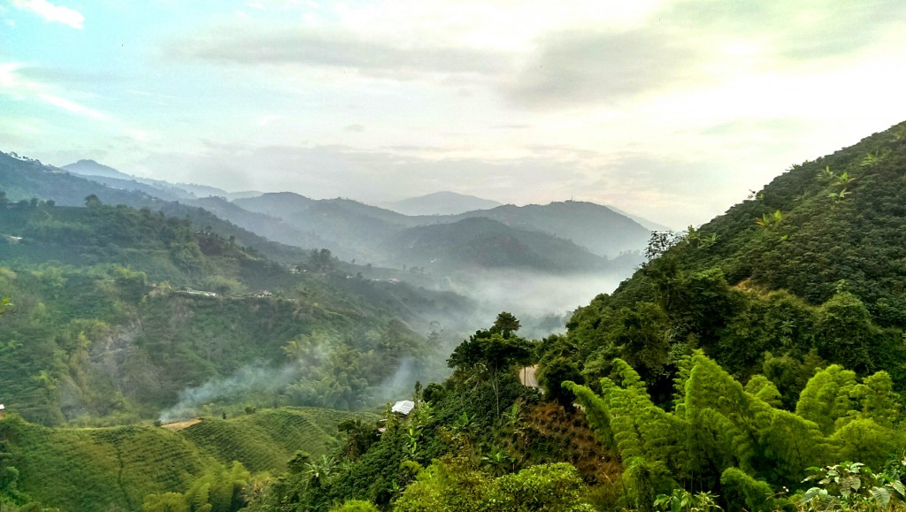 IMAG7469_1